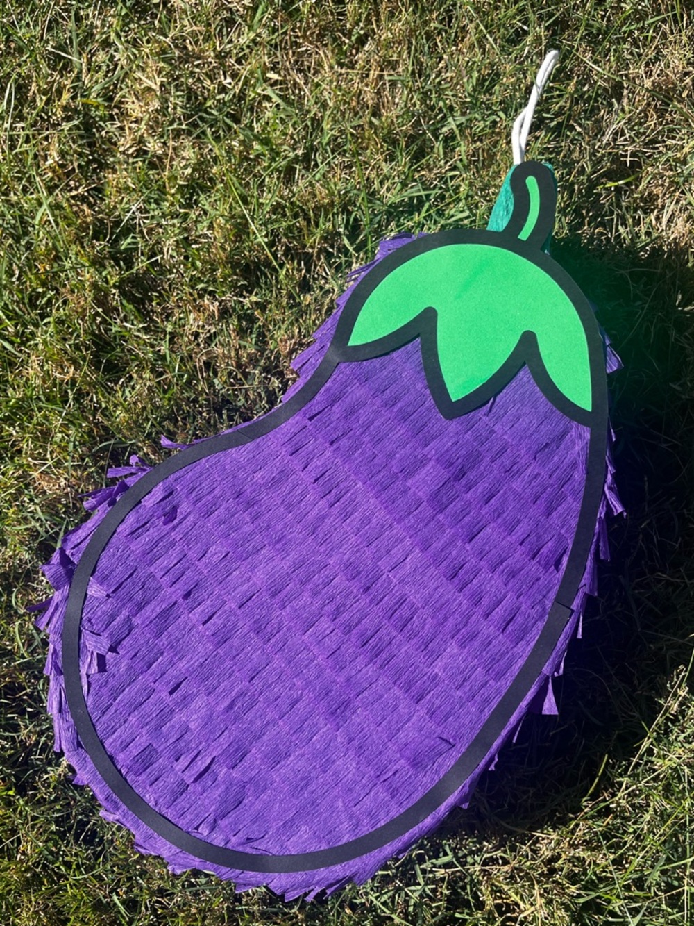Eggplant Pinata